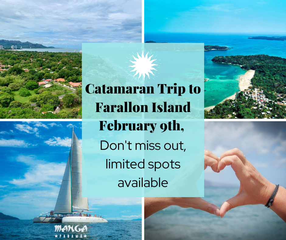 Catamaran Trip to Farallon Island