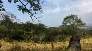 View of Coronado and Gorgona