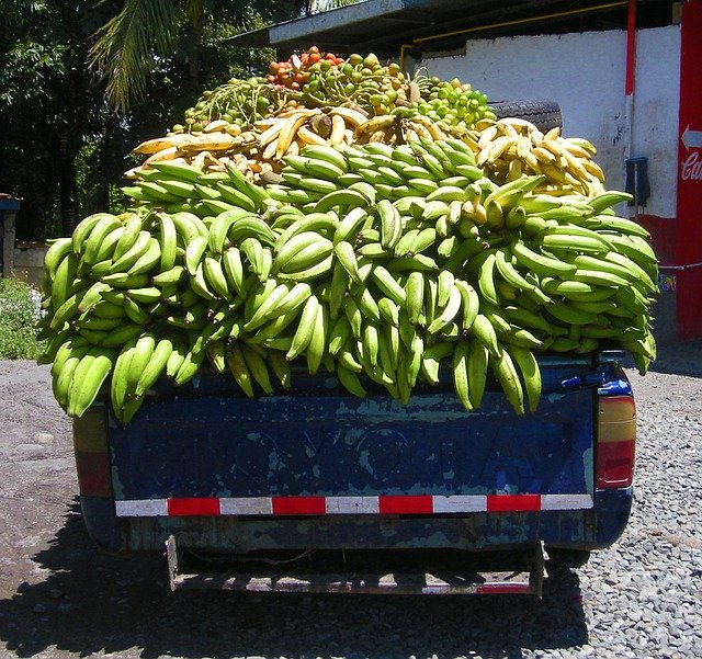 Fruit Truck with Bananas